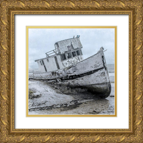 Shipwrecked Minnow 1 Gold Ornate Wood Framed Art Print with Double Matting by Prime, Marcus