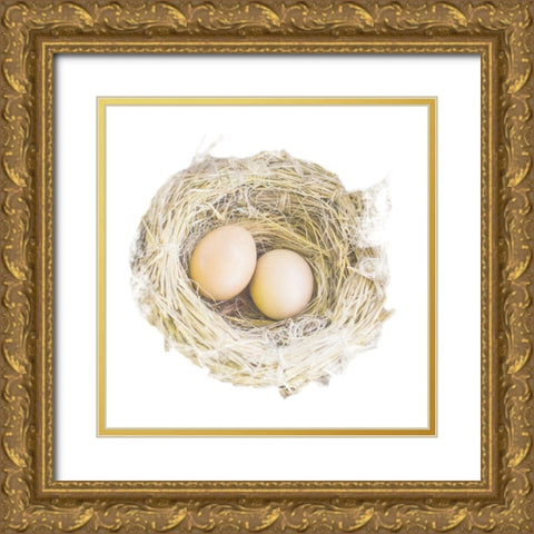 Pleasant Nesting Gold Ornate Wood Framed Art Print with Double Matting by Prime, Marcus