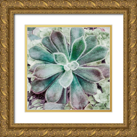 Springtime Succulents 1 Gold Ornate Wood Framed Art Print with Double Matting by Prime, Marcus