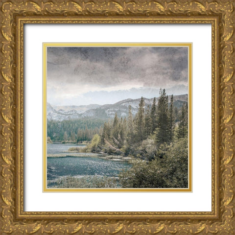 Wilderness Wonders 4 Gold Ornate Wood Framed Art Print with Double Matting by Prime, Marcus
