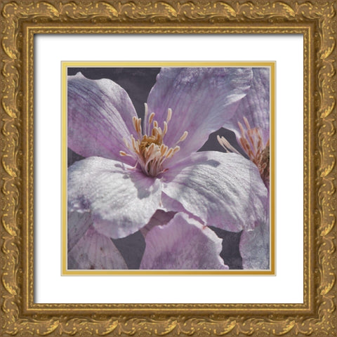 Lavender Explosion 1 Gold Ornate Wood Framed Art Print with Double Matting by Prime, Marcus