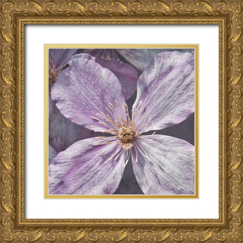 Lavender Explosion 2 Gold Ornate Wood Framed Art Print with Double Matting by Prime, Marcus