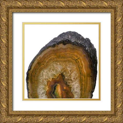 Bright Geode 1 Gold Ornate Wood Framed Art Print with Double Matting by Prime, Marcus