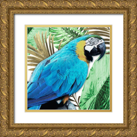 Tropical Views 2 Gold Ornate Wood Framed Art Print with Double Matting by Prime, Marcus