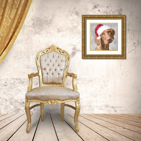 Christmas Pup 1 Gold Ornate Wood Framed Art Print with Double Matting by Prime, Marcus