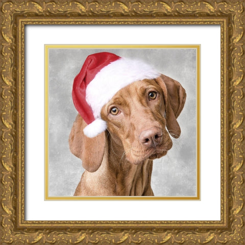 Christmas Pup 1 Gold Ornate Wood Framed Art Print with Double Matting by Prime, Marcus