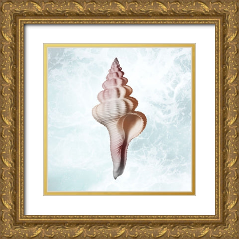 Sunshine Infused Shell 2 Gold Ornate Wood Framed Art Print with Double Matting by Prime, Marcus