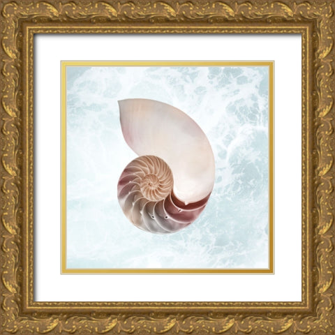 Sunshine Infused Shell 4 Gold Ornate Wood Framed Art Print with Double Matting by Prime, Marcus