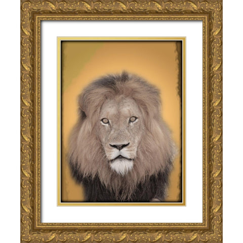 Lion In Thought 2 Gold Ornate Wood Framed Art Print with Double Matting by Prime, Marcus