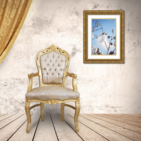 Cotton Fields Gold Ornate Wood Framed Art Print with Double Matting by Reed, Michele