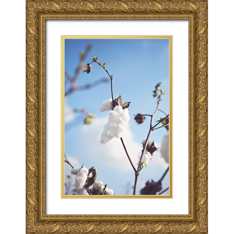 Cotton Fields Gold Ornate Wood Framed Art Print with Double Matting by Reed, Michele