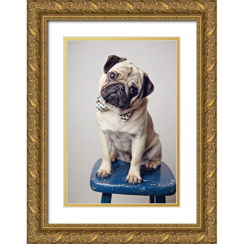 Ari Bowtie Gold Ornate Wood Framed Art Print with Double Matting by Reed, Michele