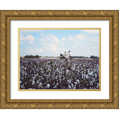 Heavy Cotton Field Gold Ornate Wood Framed Art Print with Double Matting by Reed, Michele