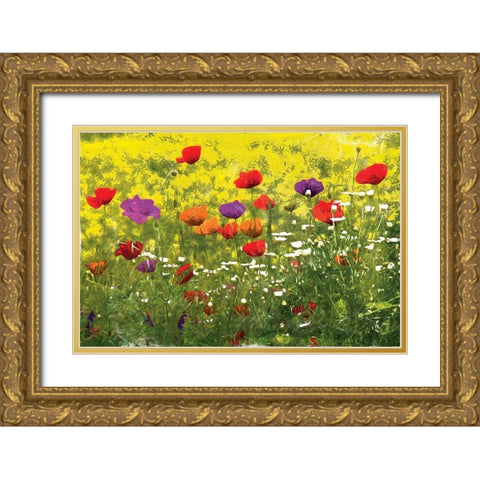 Another Pack Of Poppies Gold Ornate Wood Framed Art Print with Double Matting by Villa, Mlli