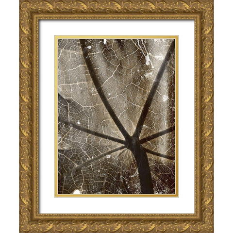 Reach Gold Ornate Wood Framed Art Print with Double Matting by Villa, Mlli