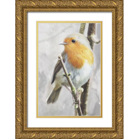 Winter Bird Gold Ornate Wood Framed Art Print with Double Matting by Villa, Mlli