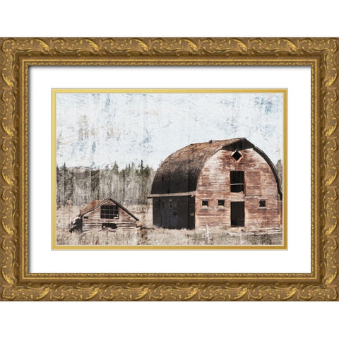 Broken Down Barn Gold Ornate Wood Framed Art Print with Double Matting by Villa, Mlli