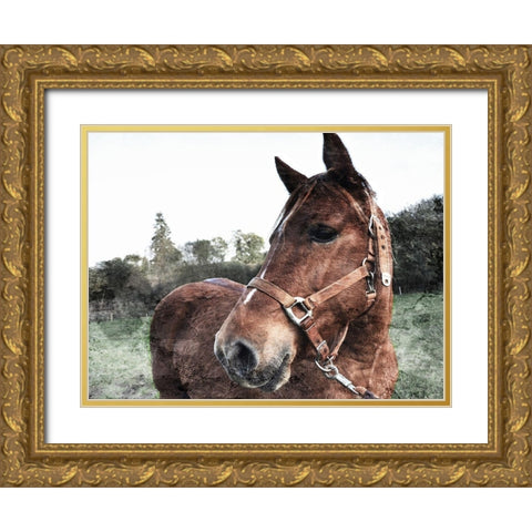 Horse Pose Gold Ornate Wood Framed Art Print with Double Matting by Villa, Mlli