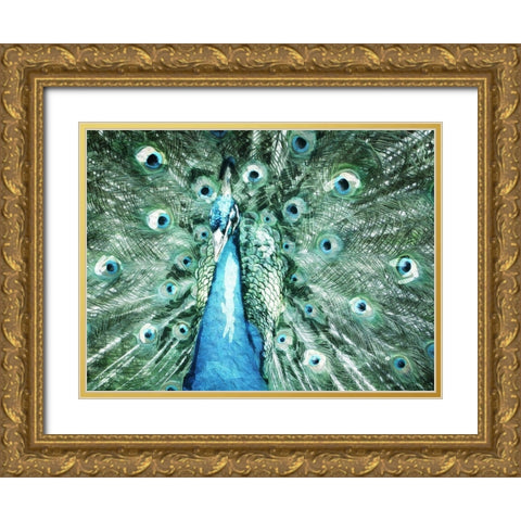 Looking Peacock Gold Ornate Wood Framed Art Print with Double Matting by Villa, Mlli