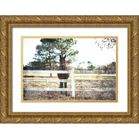 Waiting Horse Gold Ornate Wood Framed Art Print with Double Matting by Villa, Mlli