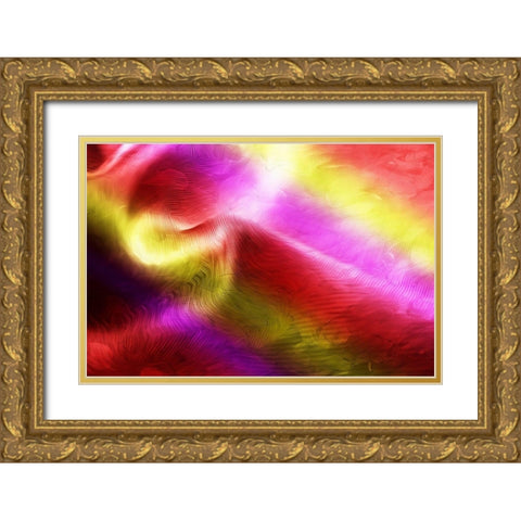 Color Swirl Gold Ornate Wood Framed Art Print with Double Matting by Villa, Mlli