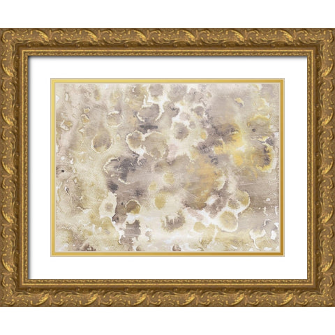 Soft Flower Bursts Gold Ornate Wood Framed Art Print with Double Matting by Villa, Mlli