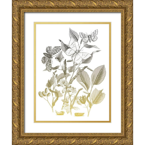Flower and Bugs A Gold Ornate Wood Framed Art Print with Double Matting by Villa, Mlli