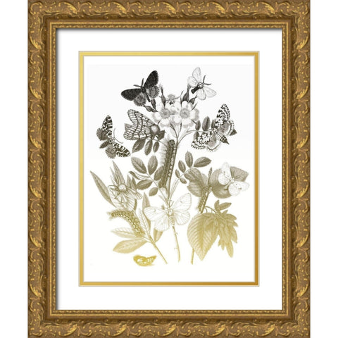 Flower and Bugs B Gold Ornate Wood Framed Art Print with Double Matting by Villa, Mlli