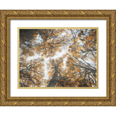 Look Up In The Forest Gold Ornate Wood Framed Art Print with Double Matting by Villa, Mlli