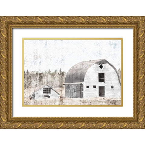 Broken Down White Barn Gold Ornate Wood Framed Art Print with Double Matting by Villa, Mlli