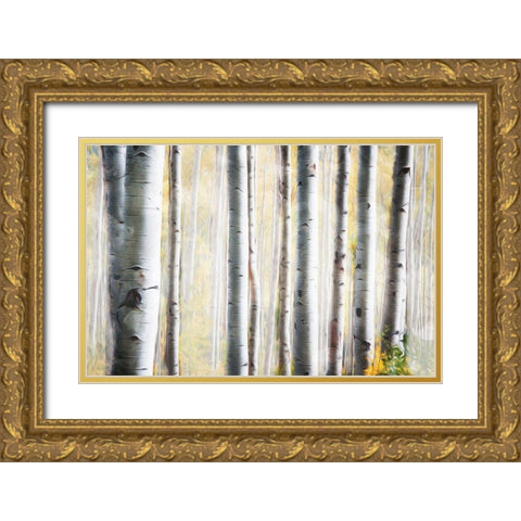 Birch Family Gold Ornate Wood Framed Art Print with Double Matting by Villa, Mlli