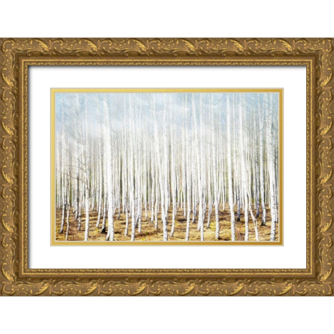 Birch In The Woods Gold Ornate Wood Framed Art Print with Double Matting by Villa, Mlli