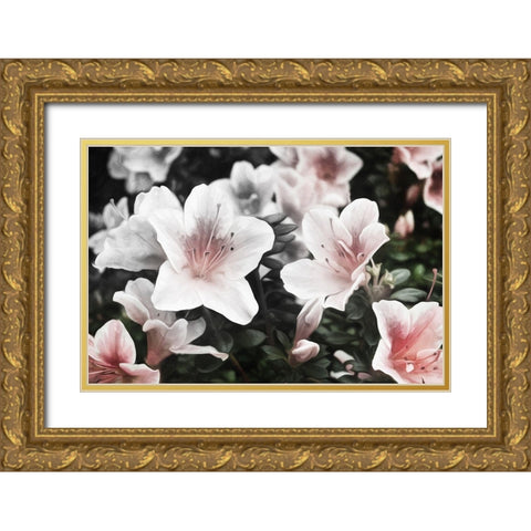Hello Flowers Gold Ornate Wood Framed Art Print with Double Matting by Villa, Mlli