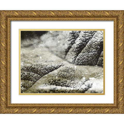 Charcoal Leaves Gold Ornate Wood Framed Art Print with Double Matting by Villa, Mlli
