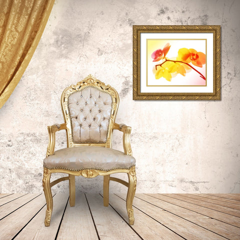 Sunny Electric Orchids Gold Ornate Wood Framed Art Print with Double Matting by Villa, Mlli