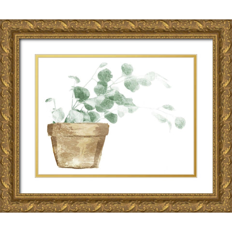 Eucalyptus Planted Gold Ornate Wood Framed Art Print with Double Matting by Villa, Mlli