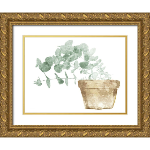Eucalyptus Planted Mate Gold Ornate Wood Framed Art Print with Double Matting by Villa, Mlli
