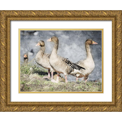 Goose Crew Too Gold Ornate Wood Framed Art Print with Double Matting by Villa, Mlli