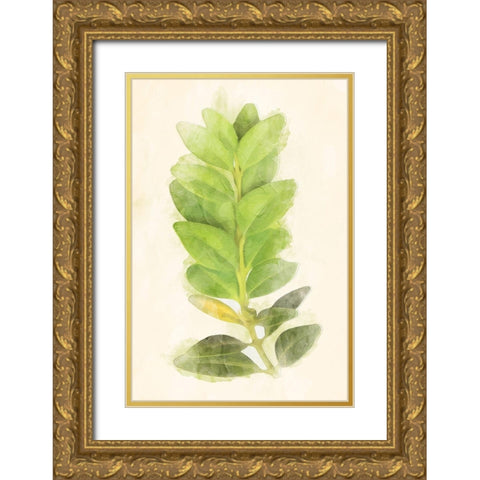 Green Leaves Gold Ornate Wood Framed Art Print with Double Matting by Villa, Mlli