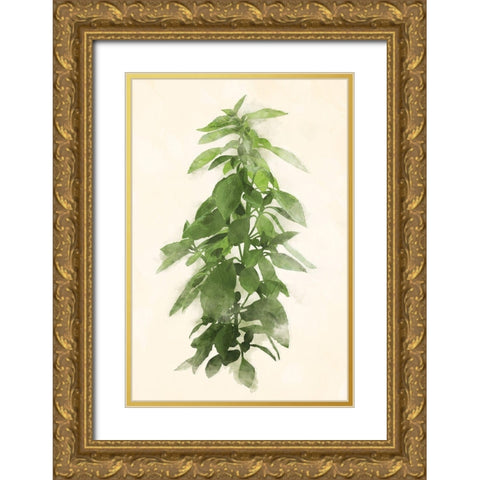 Green Leaves Mate Gold Ornate Wood Framed Art Print with Double Matting by Villa, Mlli