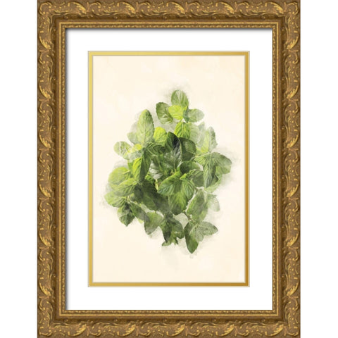 More Green Leaves Gold Ornate Wood Framed Art Print with Double Matting by Villa, Mlli