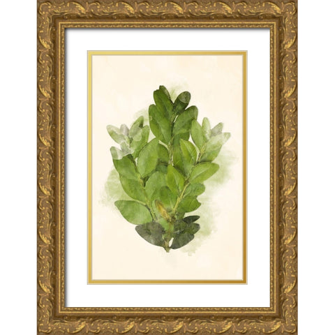 More Green Leaves Mate Gold Ornate Wood Framed Art Print with Double Matting by Villa, Mlli