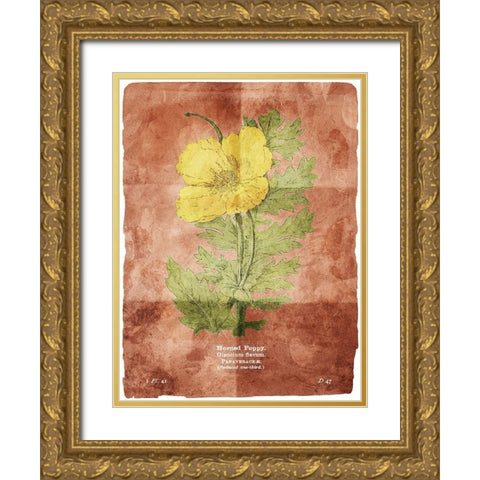 Flower Page Two Brown Gold Ornate Wood Framed Art Print with Double Matting by Villa, Mlli