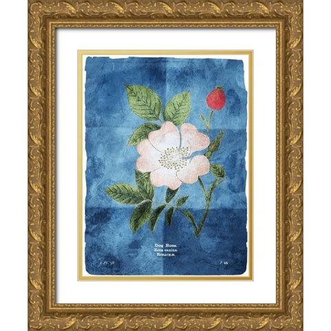 Flower Page Three Blue Gold Ornate Wood Framed Art Print with Double Matting by Villa, Mlli