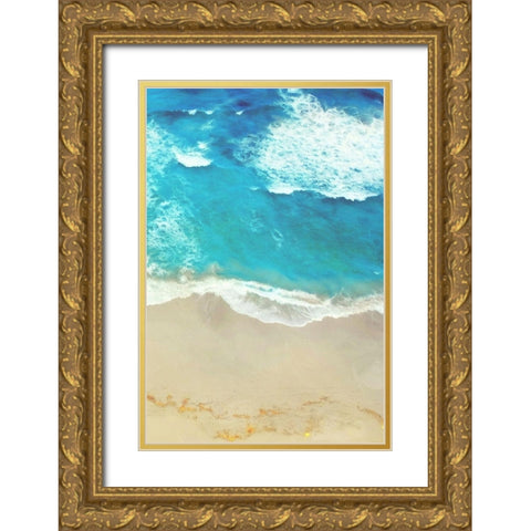 Take A Swim Mate Gold Ornate Wood Framed Art Print with Double Matting by Villa, Mlli