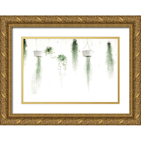 High Plants Gold Ornate Wood Framed Art Print with Double Matting by Villa, Mlli