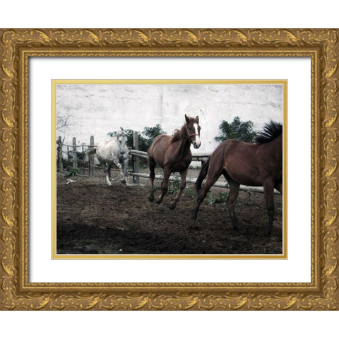 Horses Down The Dirt Road Gold Ornate Wood Framed Art Print with Double Matting by Villa, Milli