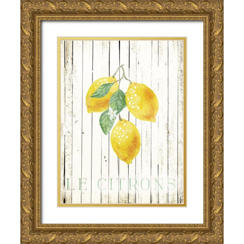 Wood Le Citrons Gold Ornate Wood Framed Art Print with Double Matting by Villa, Milli
