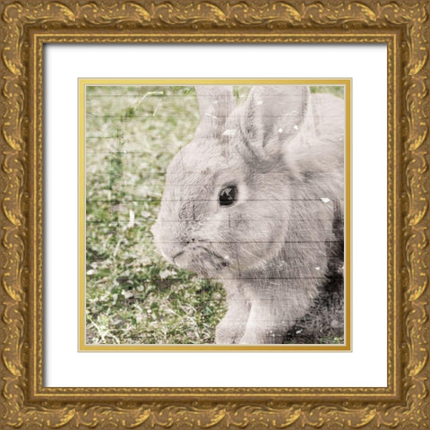Bunny See Gold Ornate Wood Framed Art Print with Double Matting by Villa, Mlli