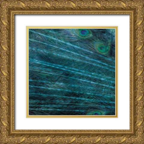 Peacock Galaxy One Gold Ornate Wood Framed Art Print with Double Matting by Villa, Mlli